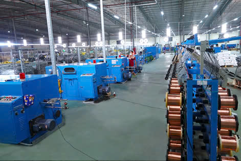 lĩnh vực hoạt động